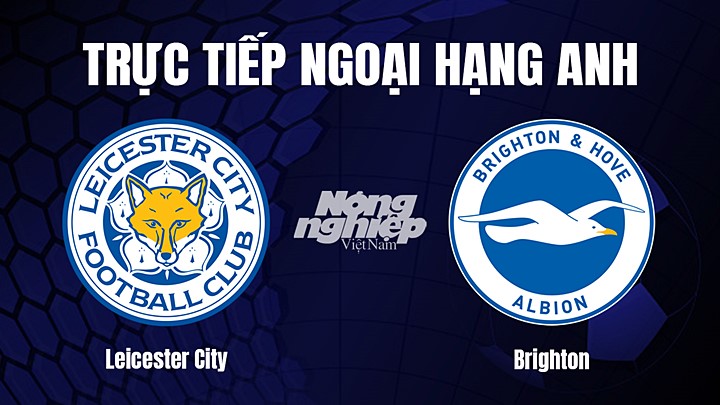 Trực tiếp bóng đá Ngoại hạng Anh giữa Leicester City vs Brighton hôm nay 21/1/2023