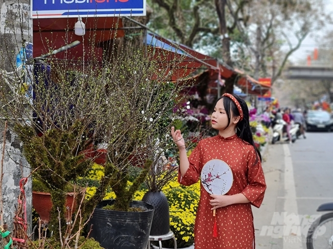 Ngoài việc thu hút đông đảo người mua bán, thì các tuyến phố hoa ở thành Tuyên còn là địa điểm lý tưởng thu hút khách tham quan trong những ngày giáp Tết.
