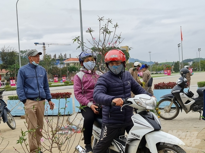 Thời điểm chiều 30 Tết vẫn còn lác đác người mua bán tại các đường hoa ở thành Tuyên nhưng không chọn được cây đào ưng ý.