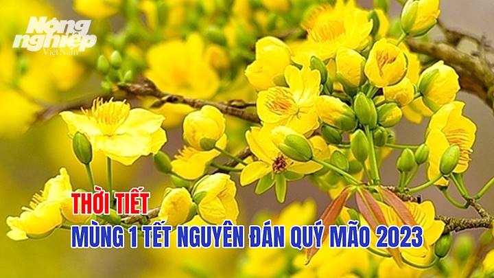 Tin tức thời tiết hôm nay 22/1/2023 (tức Mùng 1 Tết Quý Mão 2023) tại các khu vực trong cả nước