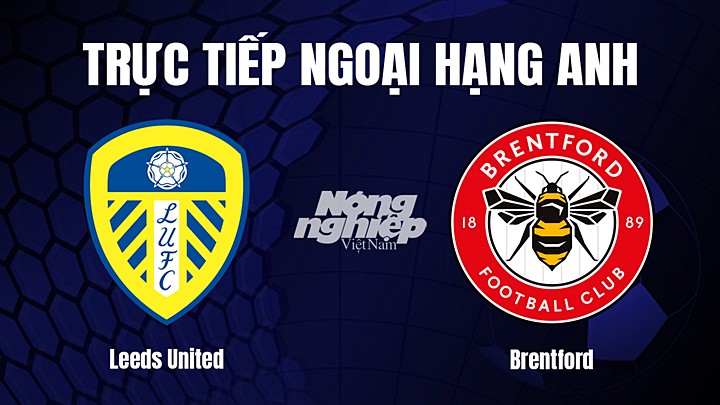 Trực tiếp bóng đá Ngoại hạng Anh giữa Leeds United vs Brentford hôm nay 22/1/2023