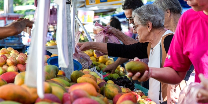 The report presents a clear relationship between the inability to afford a healthy diet and such variables as a country's income level, the incidence of poverty, and the level of inequality.