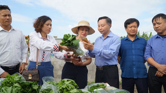 Cán bộ Trung tâm Khuyến nông Quốc gia truy xuất nguồn gốc rau sạch được trồng tại xã Tú Sơn, huyện Kiến Thụy. Ảnh: Đinh Mười.