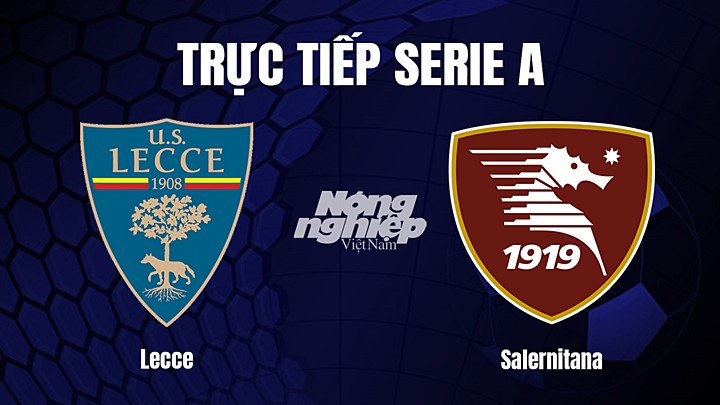 Trực tiếp bóng đá Serie A (VĐQG Italia) 2022/23 giữa Lecce vs Salernitana hôm nay 28/1/2023