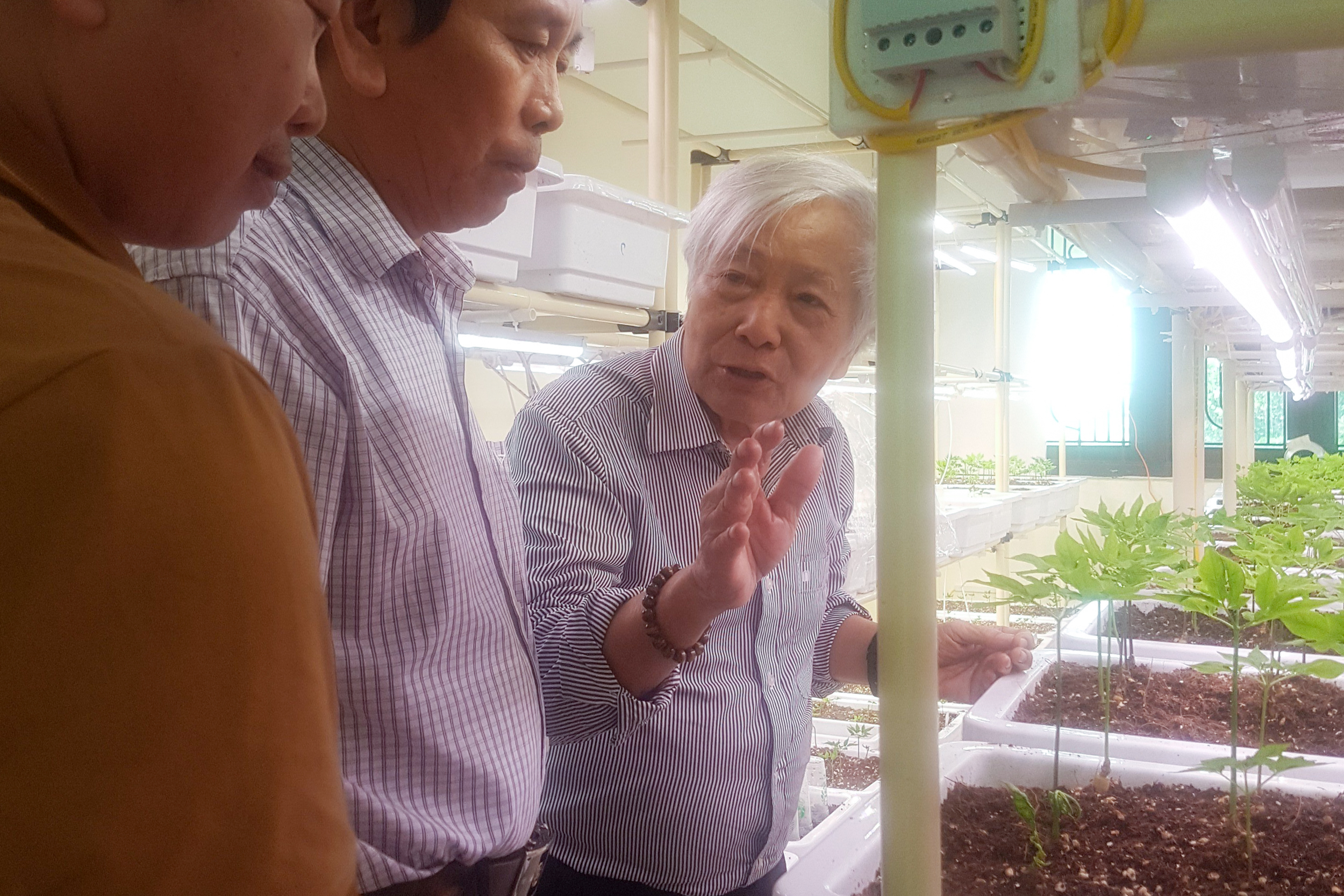 GSTS.NGND Nguyễn Quang Thạch trao đổi về công nghệ nuôi trồng các giống sâm quý của Việt Nam trong phòng thí nghiệm được điều khiển ánh sáng, nước và dinh dưỡng tại Hà Nội, năm 2021.