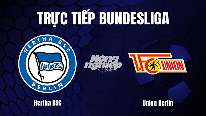 Trực tiếp bóng đá Bundesliga (VĐQG Đức) 2022/23 giữa Hertha BSC vs Union Berlin hôm nay 28/1/2023