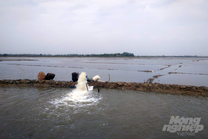 Tính đến nay đã có hơn 7.000/28.000 ha lúa mới seo sạ tại tỉnh Thừa Thiên - Huế bị ngập úng. Ảnh: CĐ.