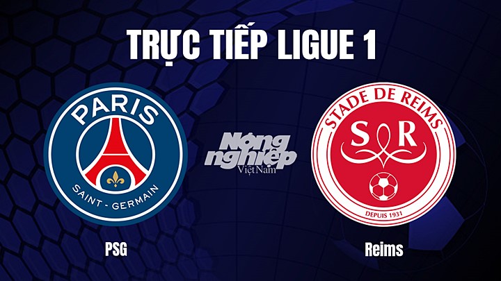 Trực tiếp bóng đá Ligue 1 (VĐQG Pháp) 2022/23 giữa PSG vs Reims hôm nay 30/1/2023