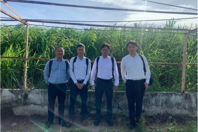 Japan Kobelco group representative officers inspect Vietseed's elephant grass trial production for energy biomass purposes in Ninh Thuan, Vietnam.