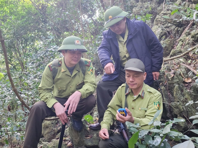 Lực lượng kiểm lâm Vườn Quốc gia Cát Bà đảm bảo lực lượng thực hiện nhiệm vụ trong dịp Tết Qúy Mão. Ảnh: Đinh Mười.