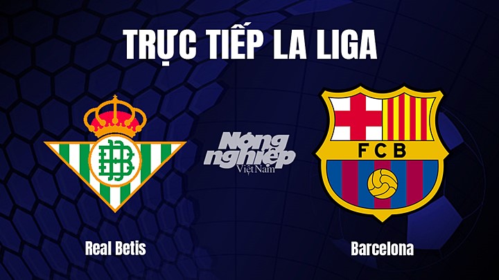 Trực tiếp bóng đá La Liga 2022/23 giữa Real Betis vs Barcelona hôm nay 2/2/2023