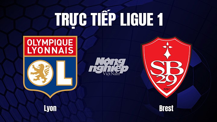 Trực tiếp bóng đá Ligue 1 (VĐQG Pháp) 2022/23 giữa Lyon vs Brest hôm nay 2/2/2023