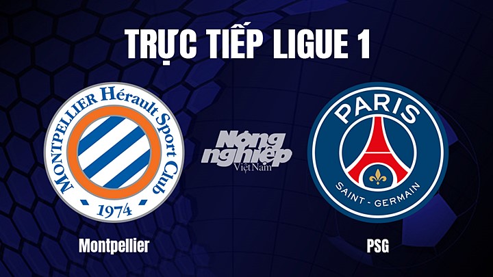 Trực tiếp bóng đá Ligue 1 (VĐQG Pháp) 2022/23 giữa Montpellier vs PSG hôm nay 2/2/2023