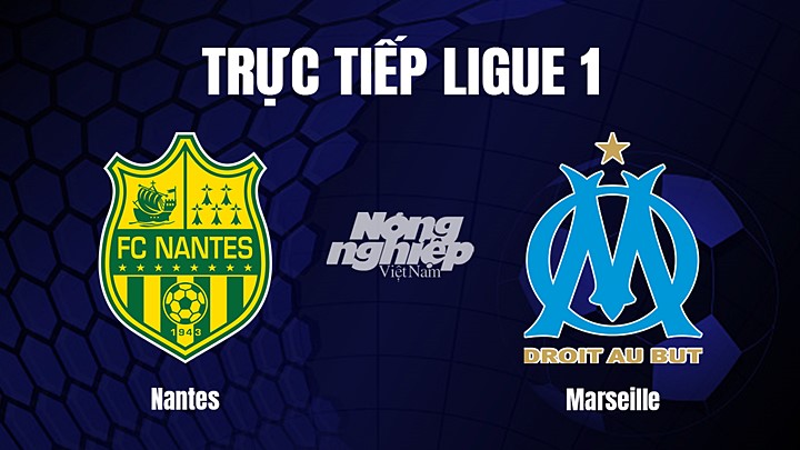 Trực tiếp bóng đá Ligue 1 (VĐQG Pháp) 2022/23 giữa Nantes vs Marseille hôm nay 2/2/2023