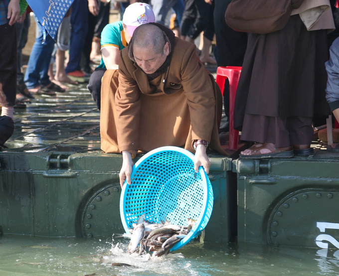 Thông qua Lễ Phóng Sinh, chùa Viên Quang đã tiến hành thả 10 tấn cá tại bến thuyền vua Mai Hắc Đế. Ảnh: Ban Truyền thông Thiền Tôn Phật Quang.
