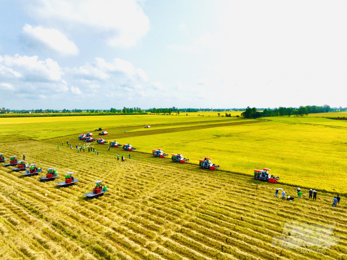 Năm 2022 ngành nông nghiệp An Giang thắng lợi lớn, tăng trưởng 3,16%. Ảnh: Lê Hoàng Vũ.