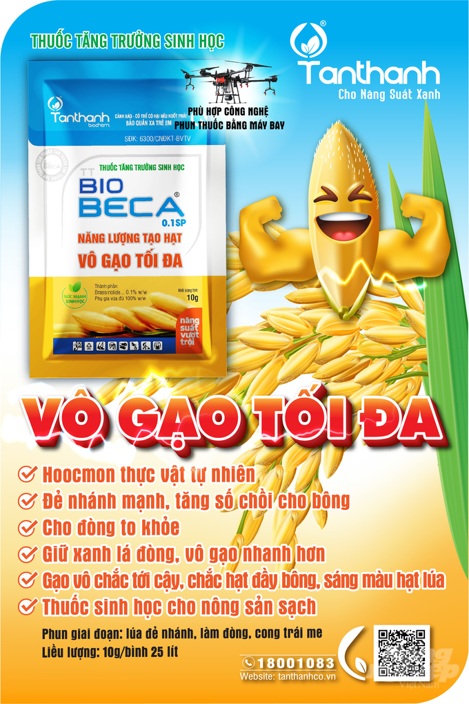 TT Biobeca 0.1SP chiết xuất từ thiên nhiên. Sản phẩm là hoocmon thực vật thế hệ mới, giúp cây lúa đẻ nhánh mạnh, tăng số chồi cho bông, giúp đòng lúa to khỏe, giữ xanh màu xanh lý tưởng. Ảnh: Công ty Tân Thành.