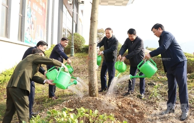 Chương trình trồng cây do UBND huyện Đồng Hỷ phát động. Ảnh: TN.