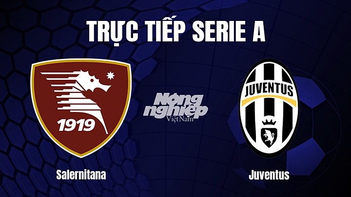 Trực tiếp bóng đá Serie A (VĐQG Italia) 2022/23 giữa Salernitana vs Juventus hôm nay 8/2/2023