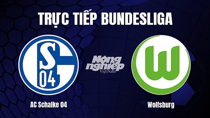 Trực tiếp bóng đá Bundesliga (VĐQG Đức) 2022/23 giữa Schalke 04 vs Wolfsburg hôm nay 11/2/2023