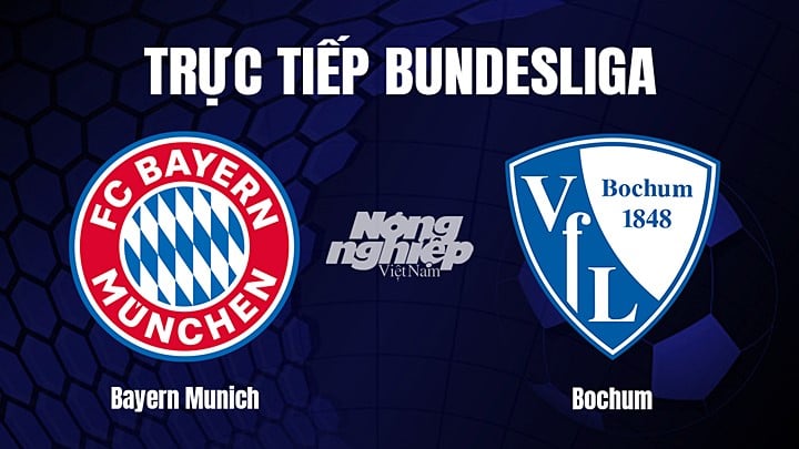 Trực tiếp bóng đá Bundesliga (VĐQG Đức) 2022/23 giữa Bayern Munich vs Bochum hôm nay 11/2/2023