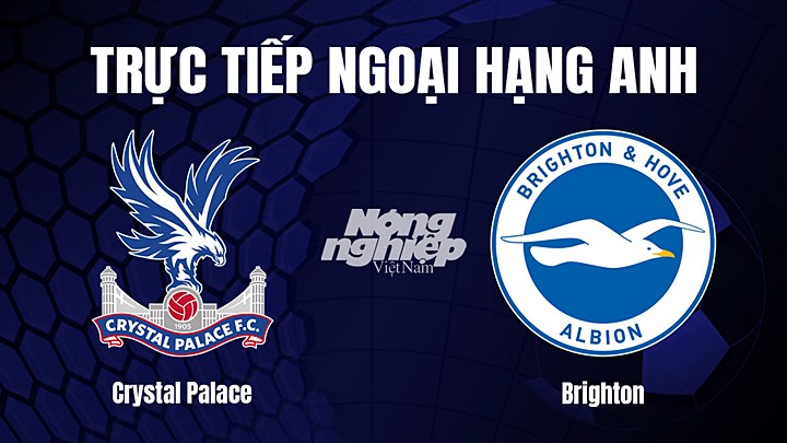 Trực tiếp bóng đá Ngoại hạng Anh giữa Crystal Palace vs Brighton hôm nay 11/2/2023