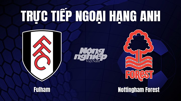 Trực tiếp bóng đá Ngoại hạng Anh giữa Fulham vs Nottingham Forest hôm nay 11/2/2023