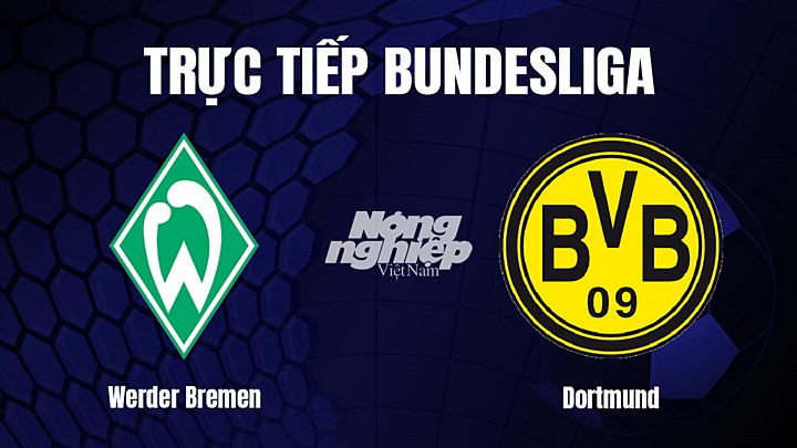 Trực tiếp bóng đá Bundesliga (VĐQG Đức) 2022/23 giữa Werder Bremen vs Dortmund hôm nay 11/2/2023