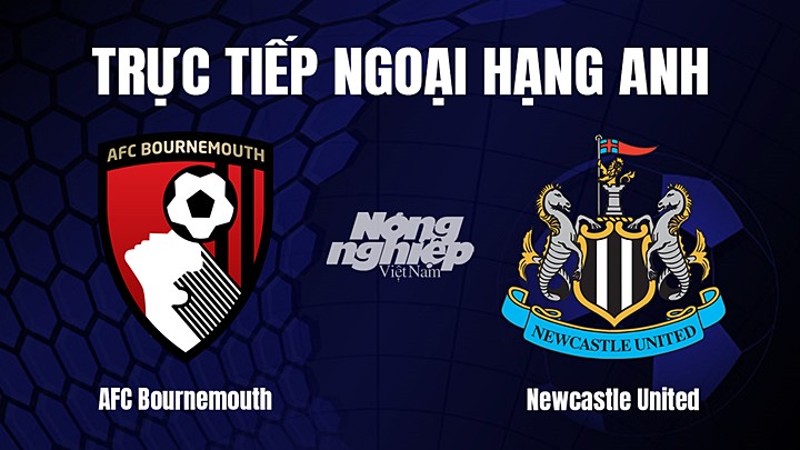 Trực tiếp bóng đá Ngoại hạng Anh giữa Bournemouth vs Newcastle United hôm nay 12/2/2023