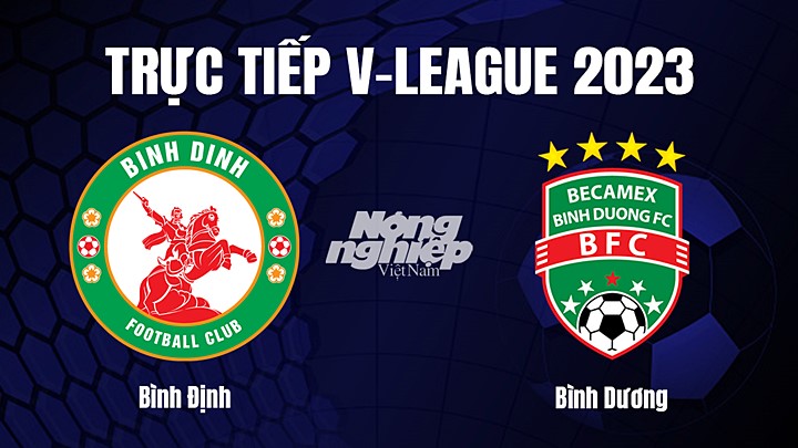 Trực tiếp bóng đá V-League 2023 giữa Bình Định vs Bình Dương hôm nay 12/2/2023