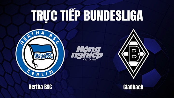 Trực tiếp bóng đá Bundesliga (VĐQG Đức) 2022/23 giữa Hertha BSC vs Gladbach hôm nay 12/2/2023