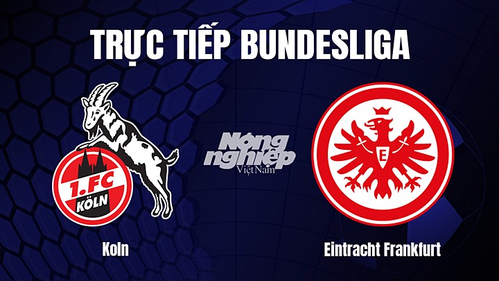 Trực tiếp bóng đá Bundesliga (VĐQG Đức) 2022/23 giữa Koln vs Eintracht Frankfurt hôm nay 12/2/2023