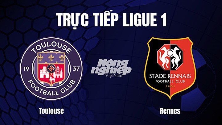 Trực tiếp bóng đá Ligue 1 (VĐQG Pháp) 20212/23 giữa Toulouse vs Rennes hôm nay 12/2/2023
