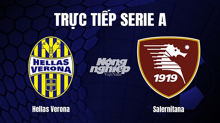 Trực tiếp bóng đá Serie A (VĐQG Italia) 2022/23 giữa Hellas Verona vs Salernitana ngày 14/2/2023