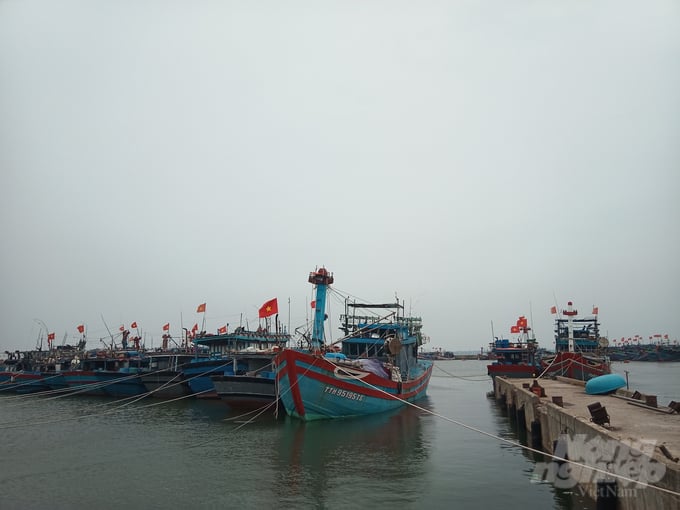 Các tàu thuyền hoạt động trên vùng biển và vùng biển ngoài khơi Thừa Thiên - Huế, đặc biệt là tàu thuyền nhỏ có nguy cơ chịu tác động của gió mạnh, sóng lớn. Ảnh: Công Điền.