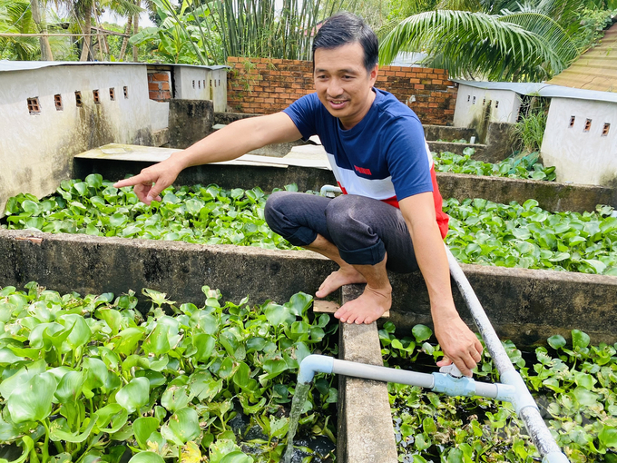 Tại ấp Tân Thành, xã Nhơn Nghĩa, huyện Phong Điền, TP Cần Thơ. Anh Trần Minh Quan đang sở hữu trại nuôi cua đinh với diện tích rộng hơn 1.000m2. Mô hình gồm 40 bể nuôi con giống và 3 ao nuôi cua đinh thịt. Mỗi năm, gia đình anh Quan bỏ túi gần 1 tỷ đồng từ việc bán con giống và cua đinh thịt.