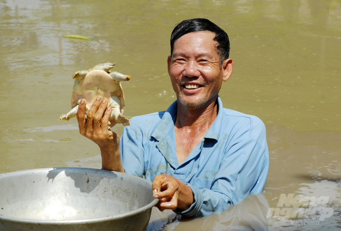 Anh Quan cho biết, với số lượng con giống hiện tại trại giống của anh chưa cung cấp đủ nhu cầu mua giống của bà con ở một số tỉnh như: Cà Mau, Hậu Giang, Vĩnh Long, Tiền Giang, Đồng Tháp… Thời gian tới, anh Quan dự định mở rộng thêm ao nuôi cua đinh thịt với khoảng 10.000m2 theo mô hình bán hoang dã và thành lập HTX nuôi cua đinh có liên kết với các hộ dân trong địa phương để bao tiêu đầu ra.