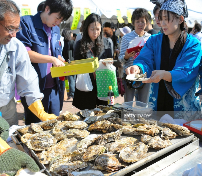 Nghề nuôi hàu đang phát triển mạnh ở tỉnh Miyagi, Nhật Bản. Ảnh: Getty