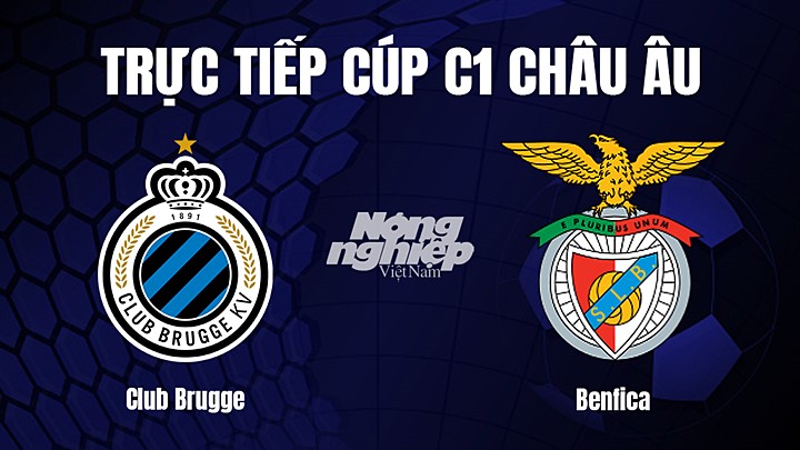 Trực tiếp bóng đá Cúp C1 Châu Âu giữa Club Brugge vs Benfica hôm nay 16/2/2022