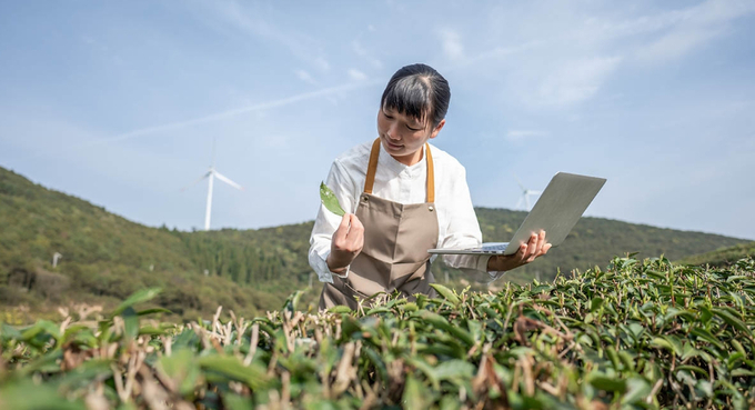 Chiến lược phục hồi nông thôn đã được Bắc Kinh đặt lên hàng đầu trong chương trình nghị sự kể từ Đại hội Đảng lần thứ 19 vào tháng 10 năm 2017. Chiến lược này nhằm giải quyết sự chênh lệch giữa thành thị và nông thôn và hiện đại hóa nền kinh tế nông thôn, bằng cách cải thiện cơ sở hạ tầng, hỗ trợ đổi mới khoa học và công nghệ. Ảnh: ifpri