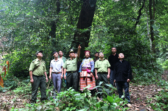 Cán bộ kiểm lâm huyện Văn Yên cùng người dân đi tuần rừng. Ảnh: Tuấn Anh.