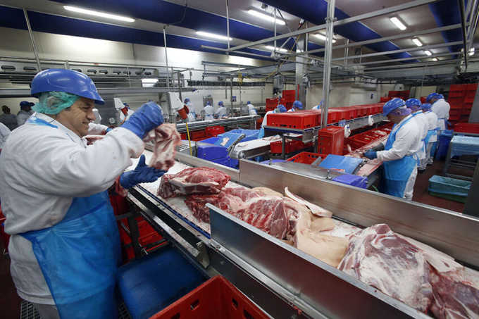 Packing and loading meat for export in thje Netherlands. While pork shipments increased to most markets in 2022, with strong growth in Mexico, South Korea, and the Philippines, China saw a substantial drop due to weak local prices and suppressed demand. Photo: Bert Jansen