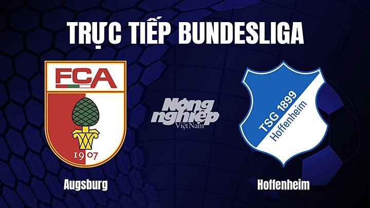 Trực tiếp bóng đá Bundesliga (VĐQG Đức) 2022/23 giữa Augsburg vs Hoffenheim hôm nay 18/2/2023