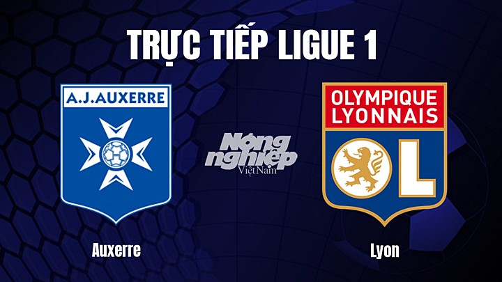 Trực tiếp bóng đá Ligue 1 (VĐQG Pháp) 2022/23 giữa Auxerre vs Lyon hôm nay 18/2/2023