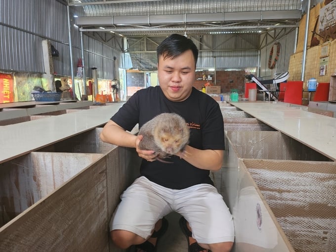 Nông dân Phú Thọ thu lãi hàng trăm triệu mỗi năm nhờ nuôi dúi