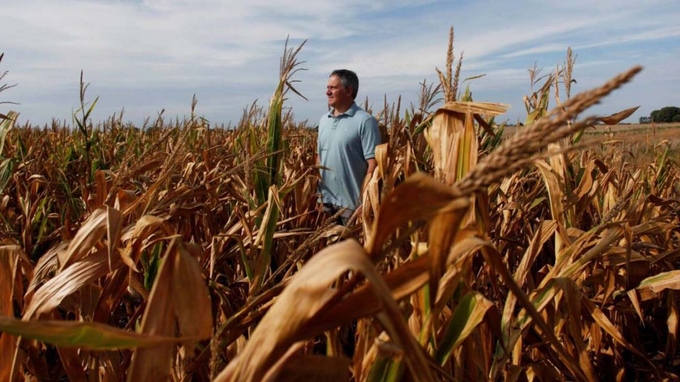 Nhiều vùng trồng ngô ở Argentina bị thiệt hại nặng nề vì đợt hạn hán tồi tệ nhất trong vòng 60 năm. Ảnh: RT