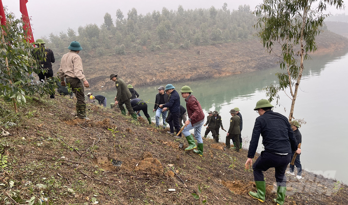 Mọi người cùng tham gia trồng 5.000 cây tràm trên vùng bán ngập hồ Thác Bà. Ảnh: Tuấn Anh.