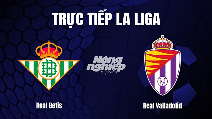 Trực tiếp bóng đá La Liga 2022/23 giữa Real Betis vs Real Valladolid hôm nay 18/2/2023