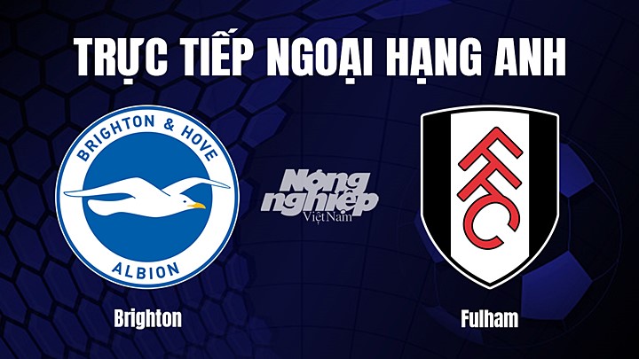 Trực tiếp bóng đá Ngoại hạng Anh giữa Brighton vs Fulham hôm nay 18/2/2023