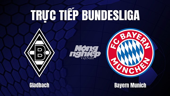 Trực tiếp bóng đá Bundesliga (VĐQG Đức) 2022/23 giữa Gladbach vs Bayern Munich hôm nay 18/2/2023